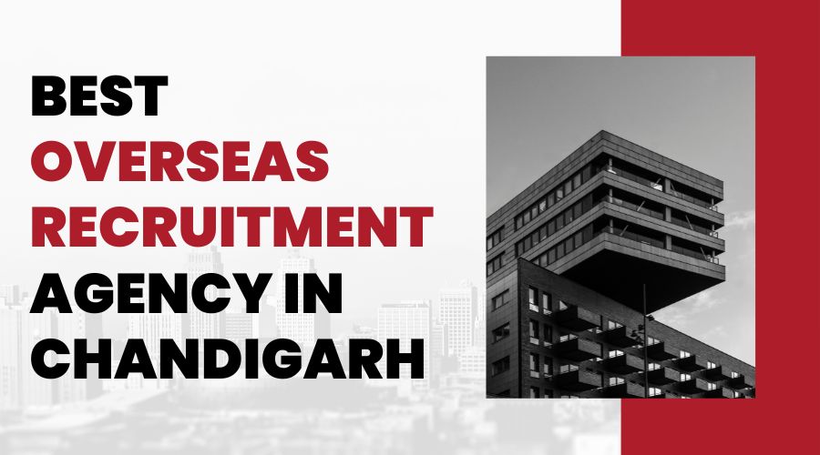 Best Overseas Recruitment Agency in Chandigarh